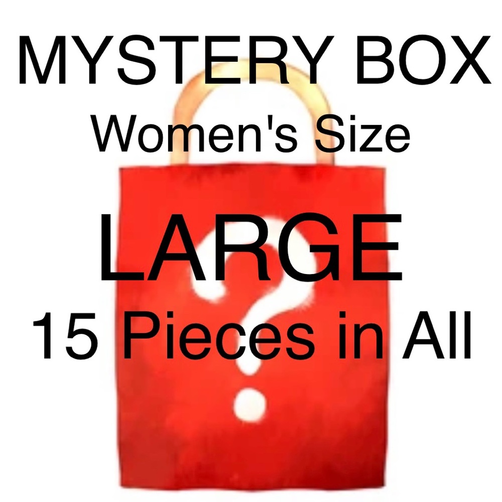 Mystery Box - All Women's Size L - 15 Pieces in Total
